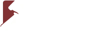 Kansas Justice Institute